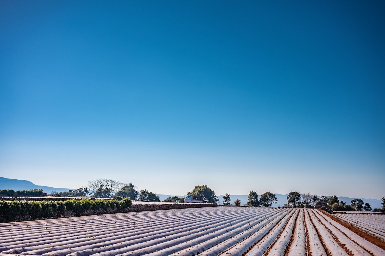 平川雄一朗 | 漂流 diary Vol.197
