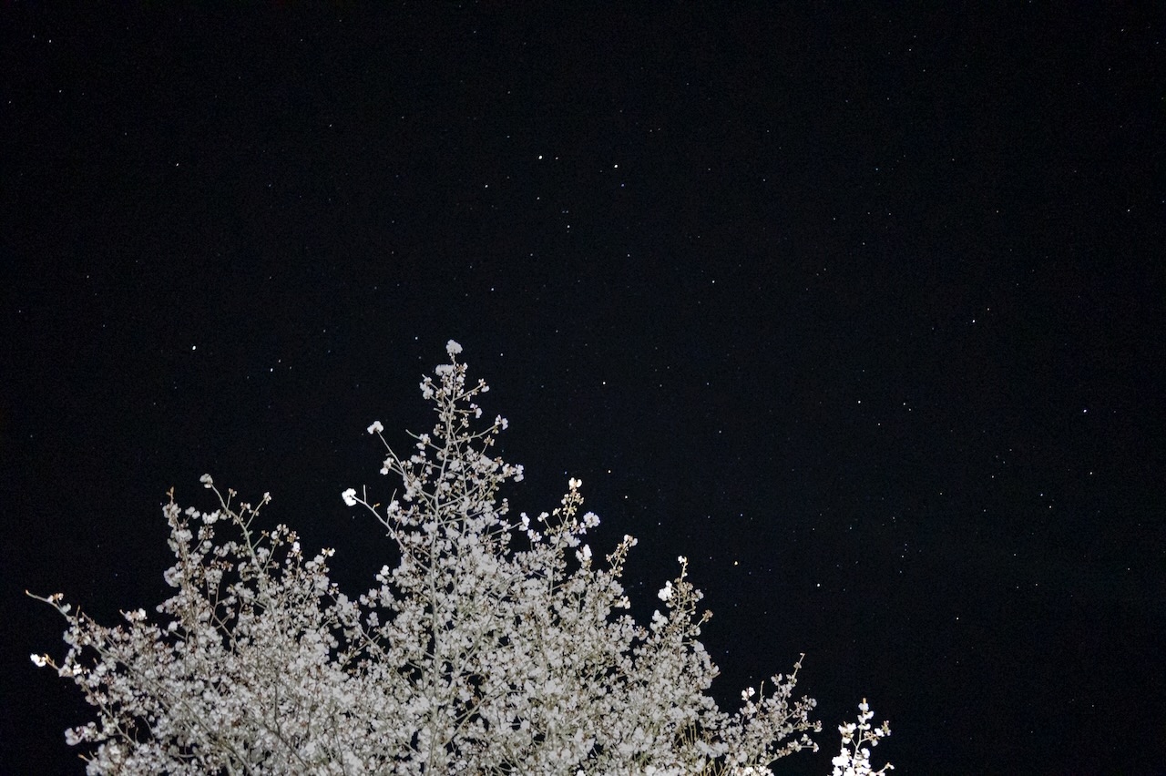 平川雄一朗 | 漂流 diary Vol.199