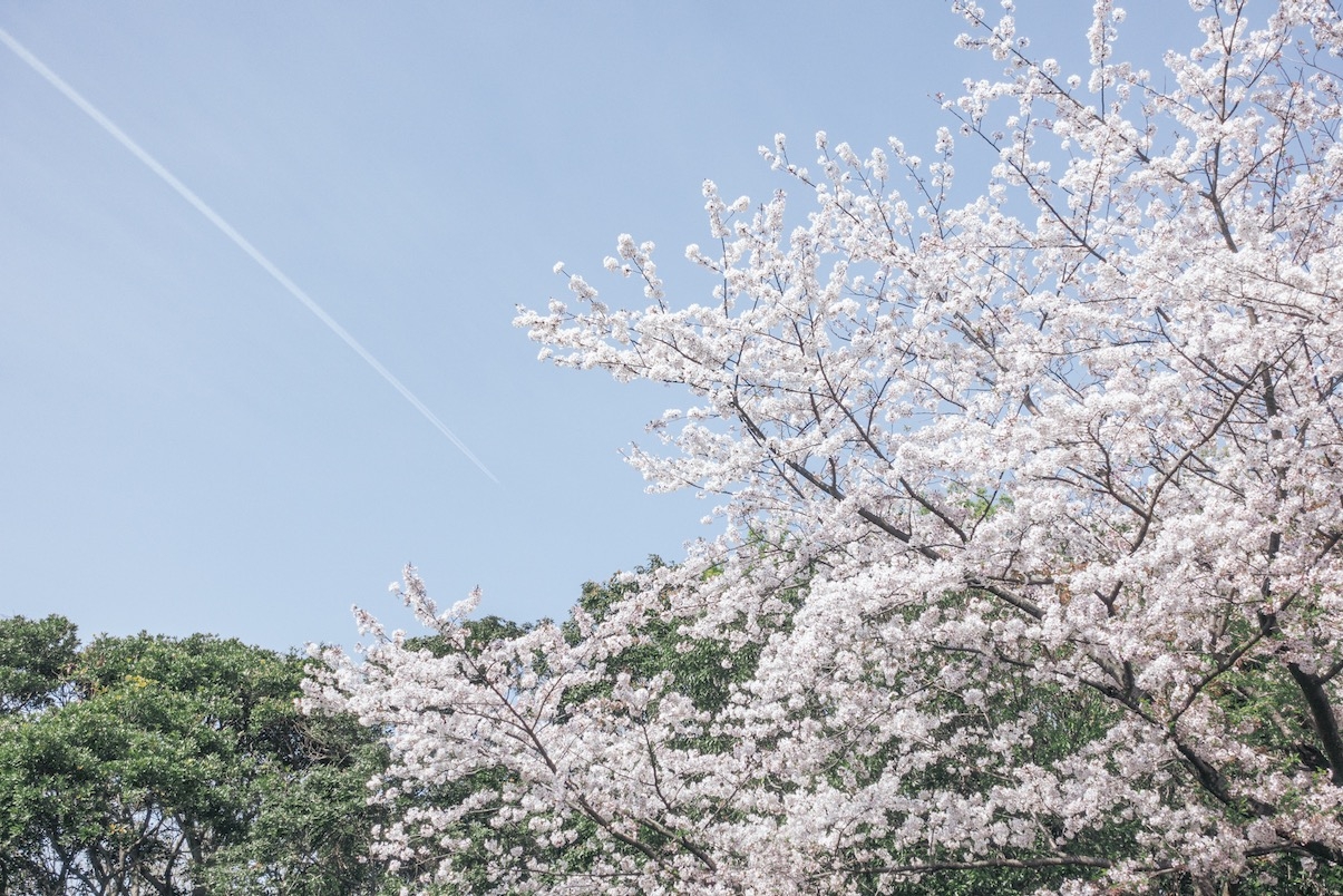 漂流 diary Vol.47